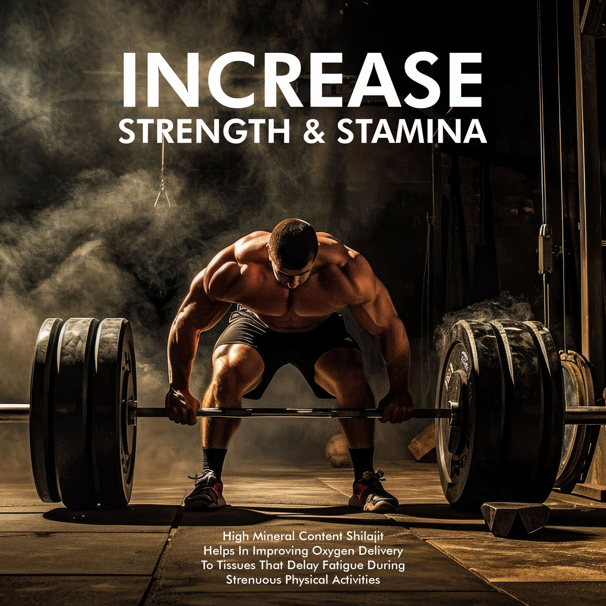 Vitaminnica Shilajit Resin- Pure Organic Himalayan Shilajit with Trace Minerals & Fulvic Acid- 20g