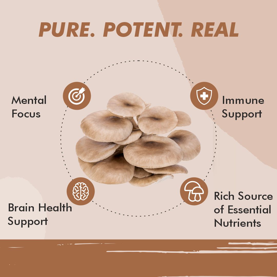 Vitaminnica Oyster Mushroom- 60 Capsules