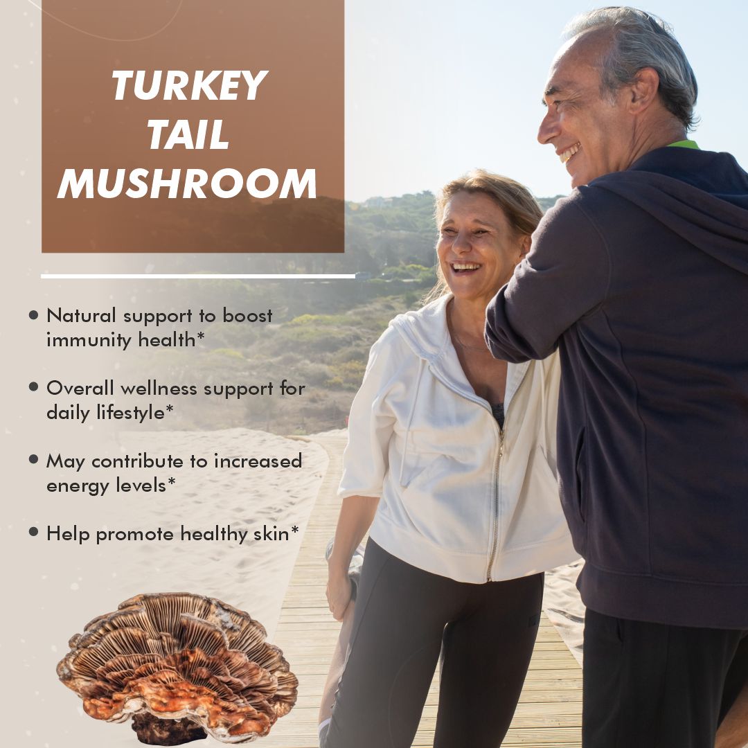 Vitaminnica Turkey Tail Mushroom- 60 Capsules