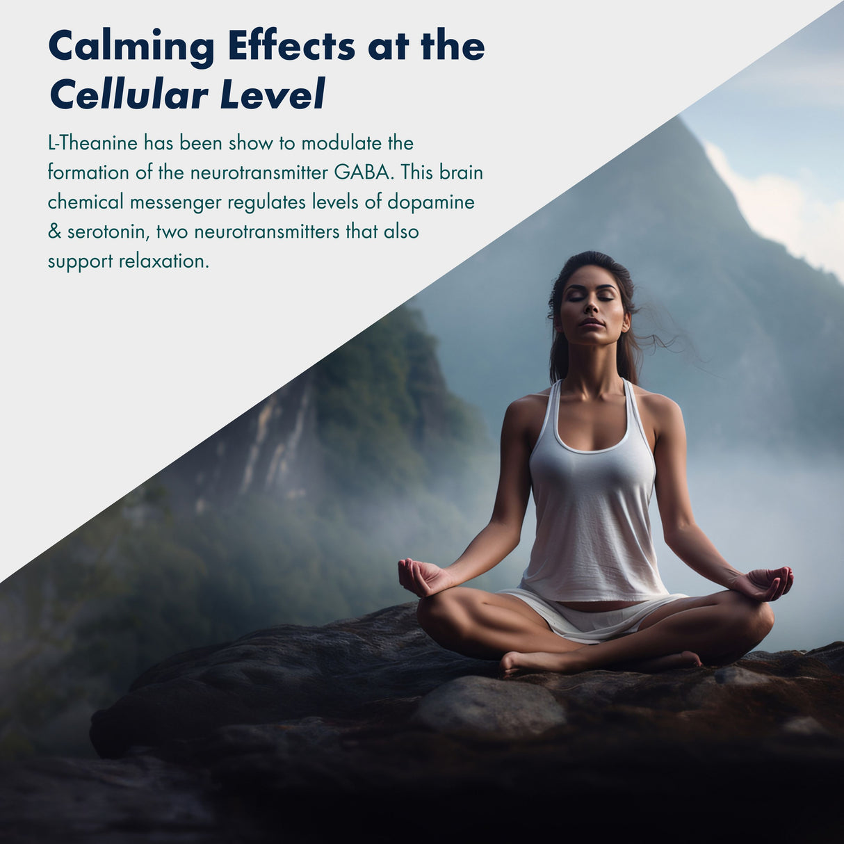 Vitaminnica L-Theanine- 60 Capsules