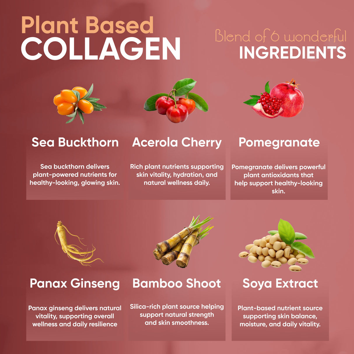 Vitaminnica Plant Collagen 60 Capsules + Free 11-in-1 Gluta Boost Tablets | Skin, Hair & Wellness Booster