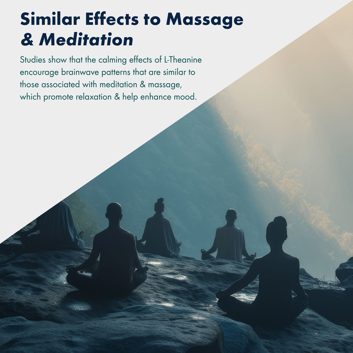 Vitaminnica L-Theanine- 60 Capsules