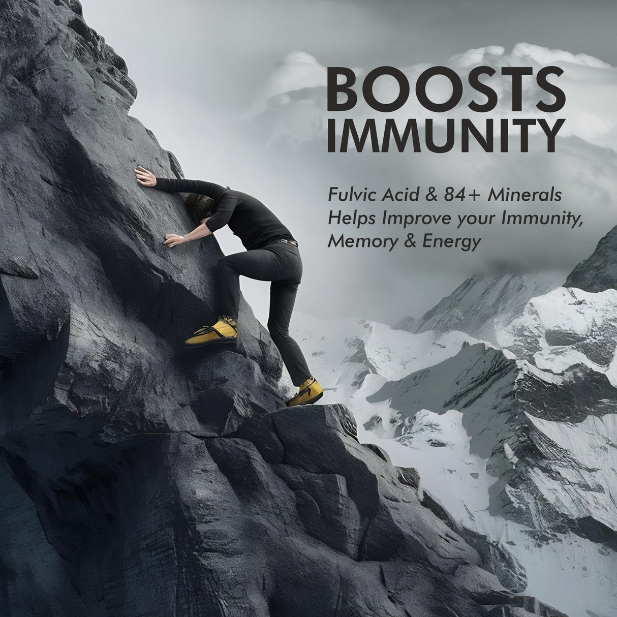 Vitaminnica Shilajit Resin- Pure Organic Himalayan Shilajit with Trace Minerals & Fulvic Acid- 20g