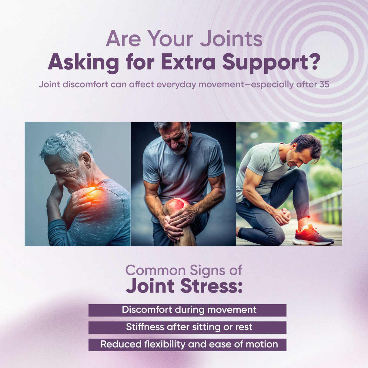 Vitaminnica Boswellia Serrata 2500 mg (extrait 5:1) - 60 capsules végétaliennes