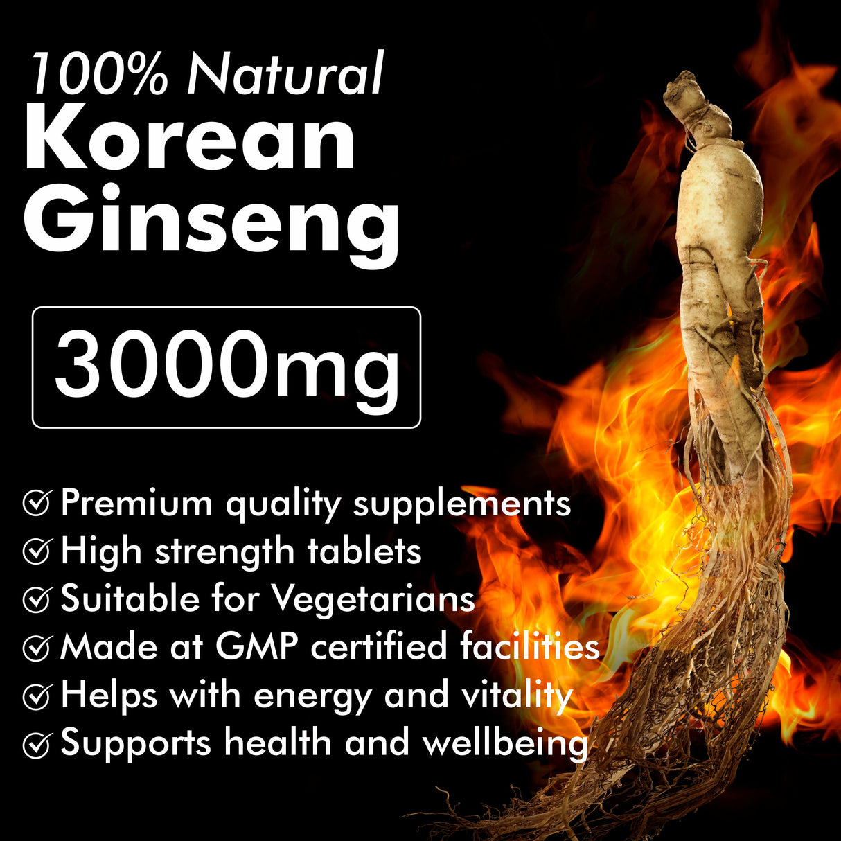 Vitaminnica Korean Ginseng-60 Capsules