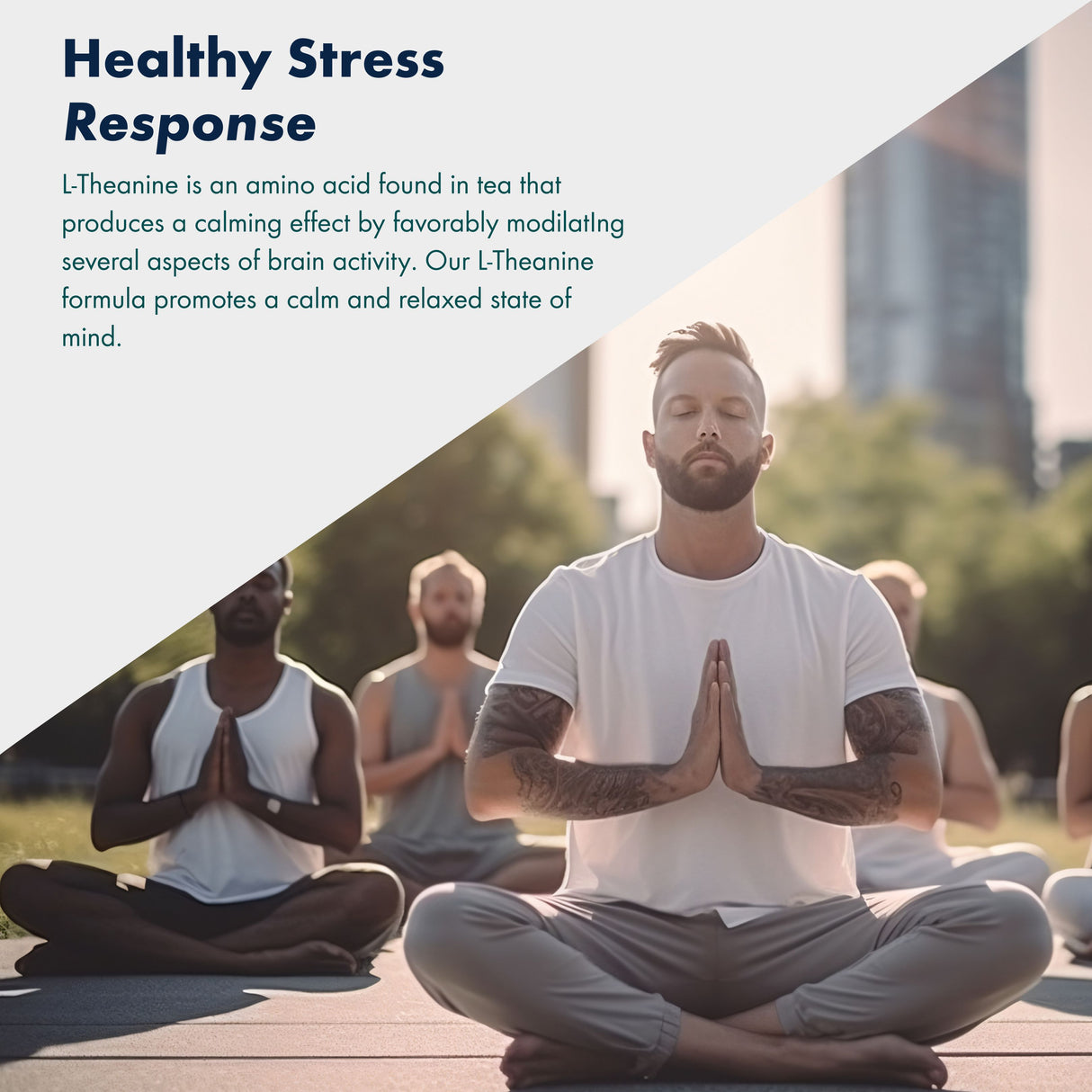 Vitaminnica L-Theanine- 60 Capsules