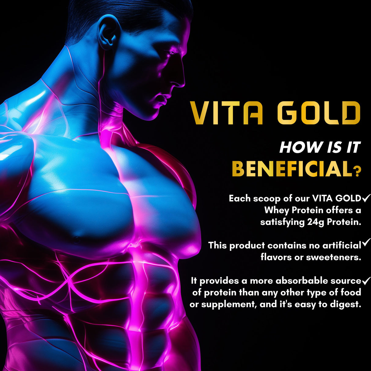 Vitaminnica Vita Gold Whey Protein- 5 Lbs- 75 Servings | Whey Concentrate, Hydrolysed, Isolate Blend |