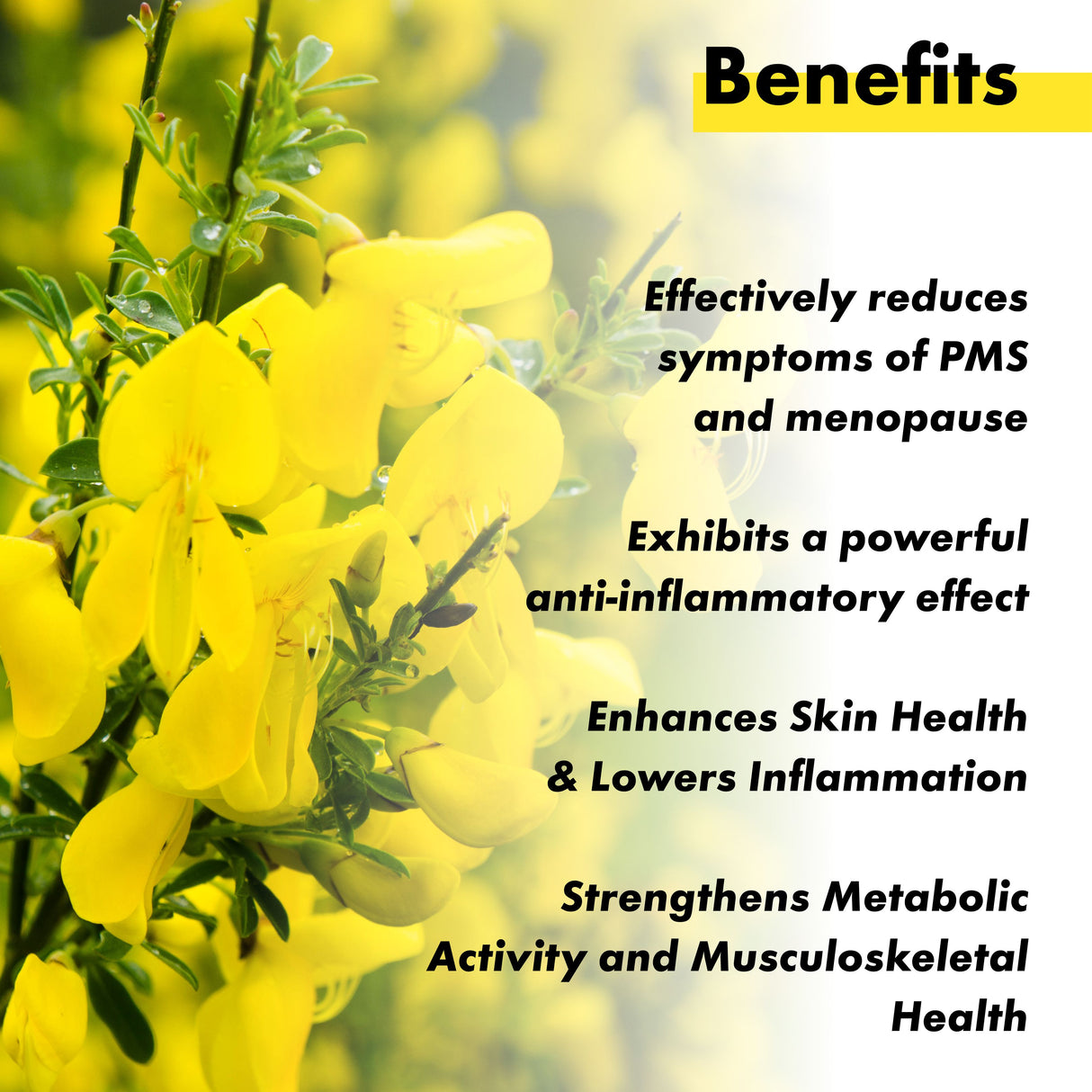 Vitaminnica Evening Primrose Oil 500mg - 60 Capsules