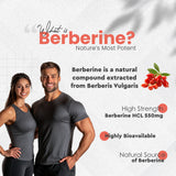 Vitaminnica Berberine HCL Capsules –1100 mg | Blood Sugar Balance, Metabolic Health & Weight Support | 60 Veg Capsules