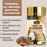 Vitaminnica Turkey Tail Mushroom- 60 Capsules