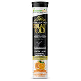Vitaminnica Shilajit Gold- 20 Effervescent Tablets