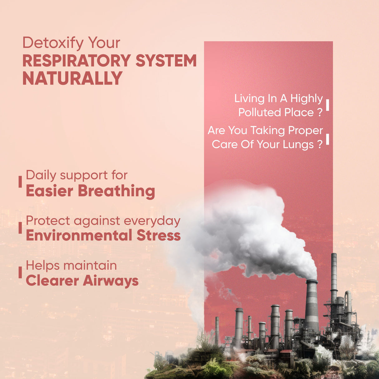 Vitaminnica Vita Breathe: Entgiftung der Lungengesundheit – 60 Kapseln