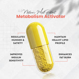 Vitaminnica Berberine HCL Capsules –1100 mg | Blood Sugar Balance, Metabolic Health & Weight Support | 60 Veg Capsules