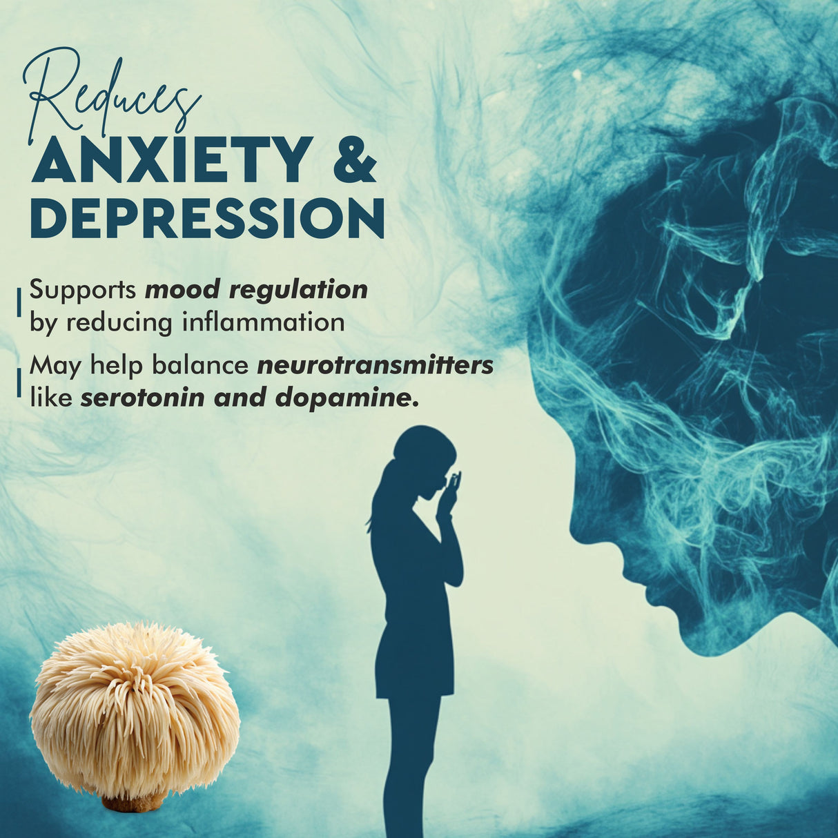 Vitaminnica Lion’s Mane Mushroom- 20 Effervescent Tablets | Brain Boost, Focus, Memory & Cognitive Support | Natural Nootropic Supplement | Mental Clarity, Nerve Health & Mood Enhancer | Vegan & Sugar-Free Tablets