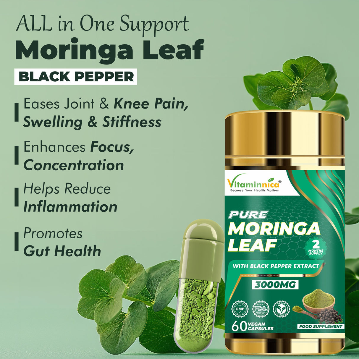Vitaminnica Moringa-Blatt – 60 Kapseln