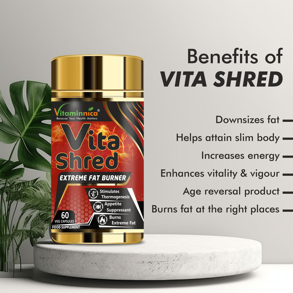 Vitaminnica Vita Shred Extreme Fat Burner- 60 Capsules