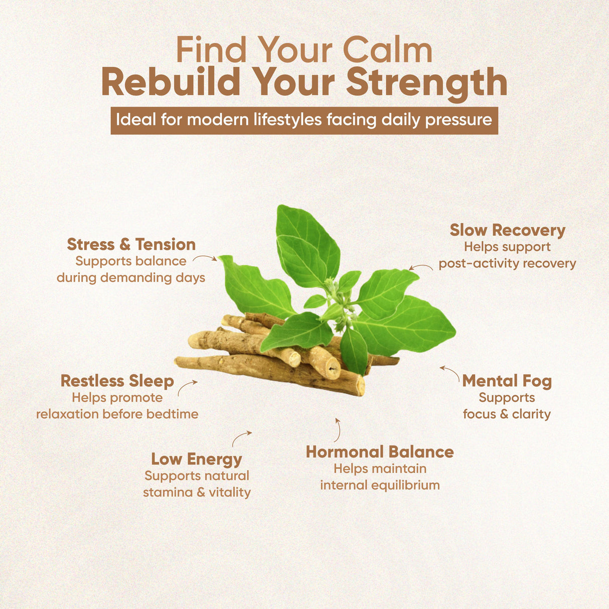 Vitaminnica Vita Ashwa – Ashwagandha 500 mg – verjüngt Ihren Körper – 60 Kapseln