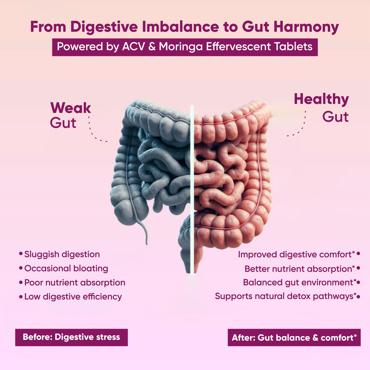 Vitaminnica ACV Moringa Effervescent- 15 Tablets | Supports Digestion, Detox & Weight Management