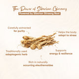 Vitaminnica Sibirischer Ginseng – 60 Kapseln
