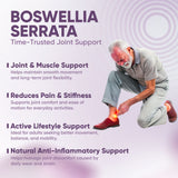 Vitaminnica Boswellia Serrata 2500 mg (5:1 Extrakt) – 60 vegane Kapseln