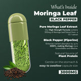 Vitaminnica Moringa-Blatt – 60 Kapseln