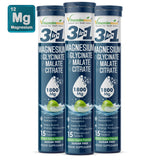 Vitaminnica Magnesium 3-in-1- 15 Effervescent Tablets | Malate, Glycinate & Citrate for Muscle Health, Relaxation and Stress