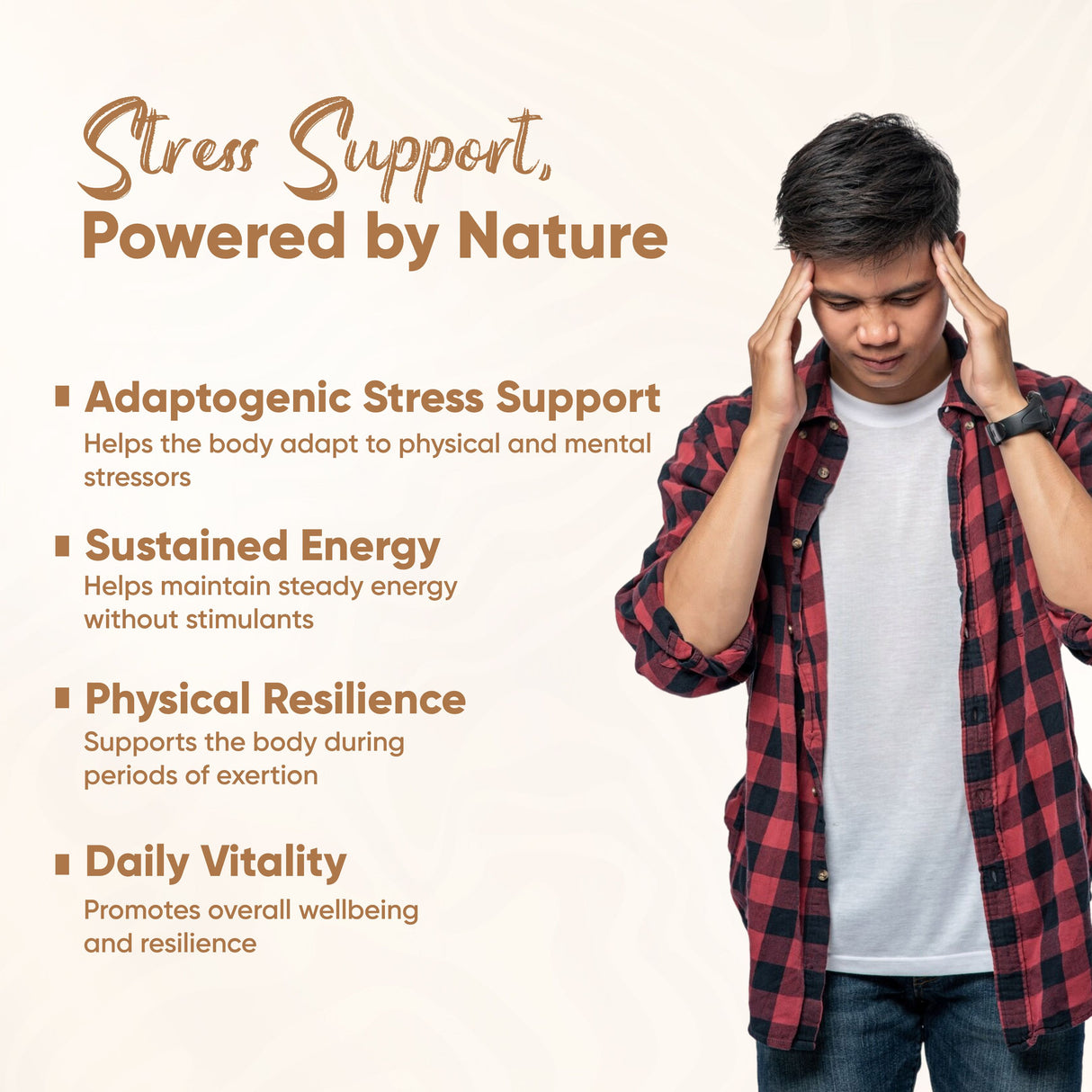 Vitaminnica Sibirischer Ginseng – 60 Kapseln