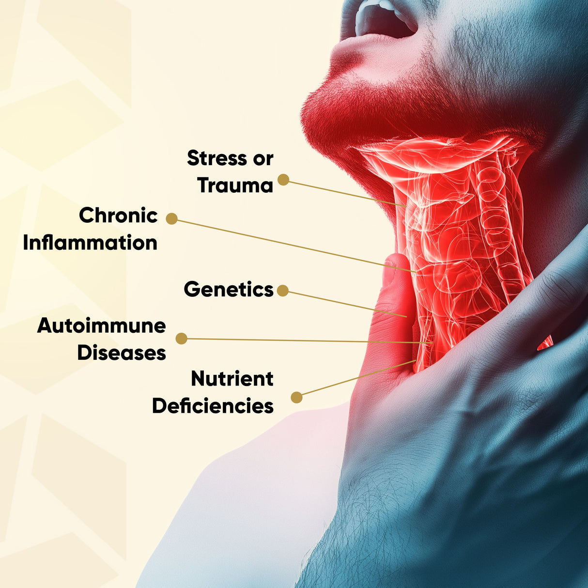 Vitaminnica Thyroid Support - Fonction thyroïdienne saine - 60 capsules