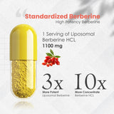 Vitaminnica Berberine HCL Capsules –1100 mg | Blood Sugar Balance, Metabolic Health & Weight Support | 60 Veg Capsules