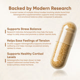 Vitaminnica Vita Ashwa – Ashwagandha 500 mg – verjüngt Ihren Körper – 60 Kapseln