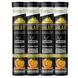 Vitaminnica Shilajit- 20 Effervescent Tablets – Natural Energy, Strength & Stamina Booster for Men & Women | Himalayan Shilajit Extract with Fulvic Acid for Vitality & Performance