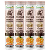 Vitaminnica Lion’s Mane Mushroom- 20 Effervescent Tablets | Brain Boost, Focus, Memory & Cognitive Support | Natural Nootropic Supplement | Mental Clarity, Nerve Health & Mood Enhancer | Vegan & Sugar-Free Tablets