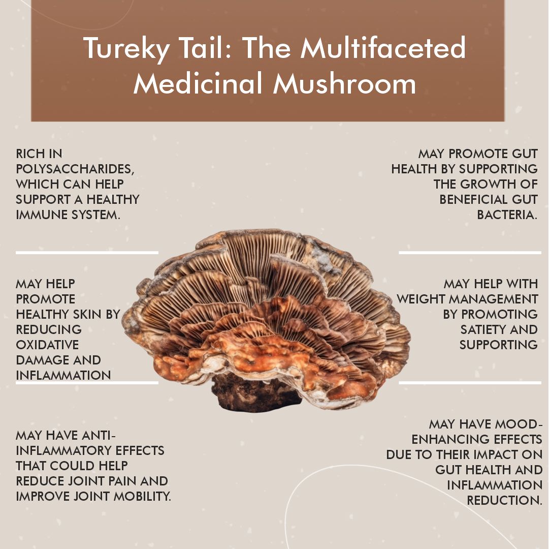 Vitaminnica Turkey Tail Mushroom- 60 Capsules
