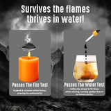 Vitaminnica Pure Shilajit- 30ml Drops | Himalayan Shilajit with Fulvic Acid, Minerals & Trace Elements | Energy, Stamina & Vitality Support | Natural Testosterone & Immunity Booster