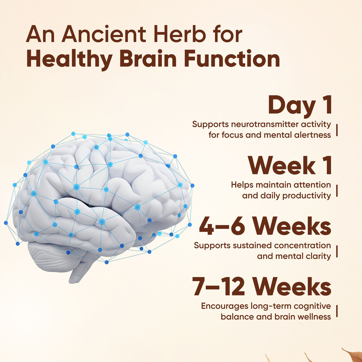 Vitaminnica Vita Gingko 500 mg - 60 gélules