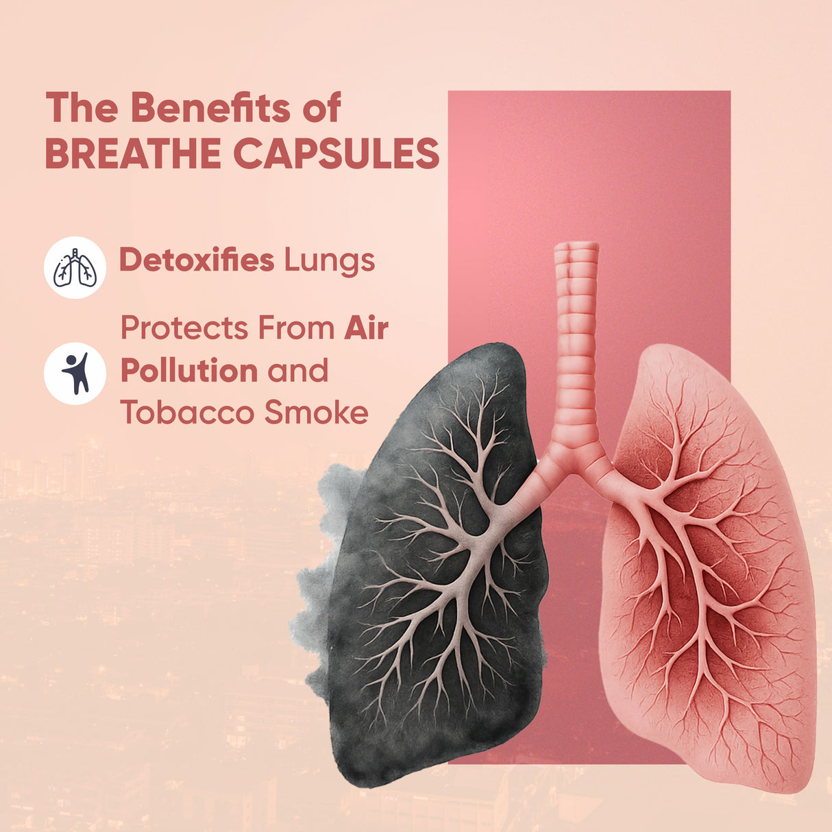 Vitaminnica Vita Breathe: Entgiftung der Lungengesundheit – 60 Kapseln