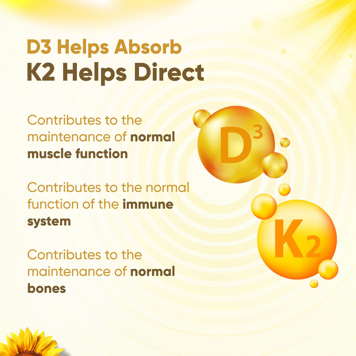 Vitaminnica Vitamin D3+K2 – Verbessert die Knochengesundheit – 60 Kapseln
