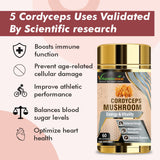 Champignon Cordyceps Vitaminnica - 60 Capsules