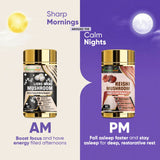 Vitaminnica Reishi-Pilz – 60 Kapseln