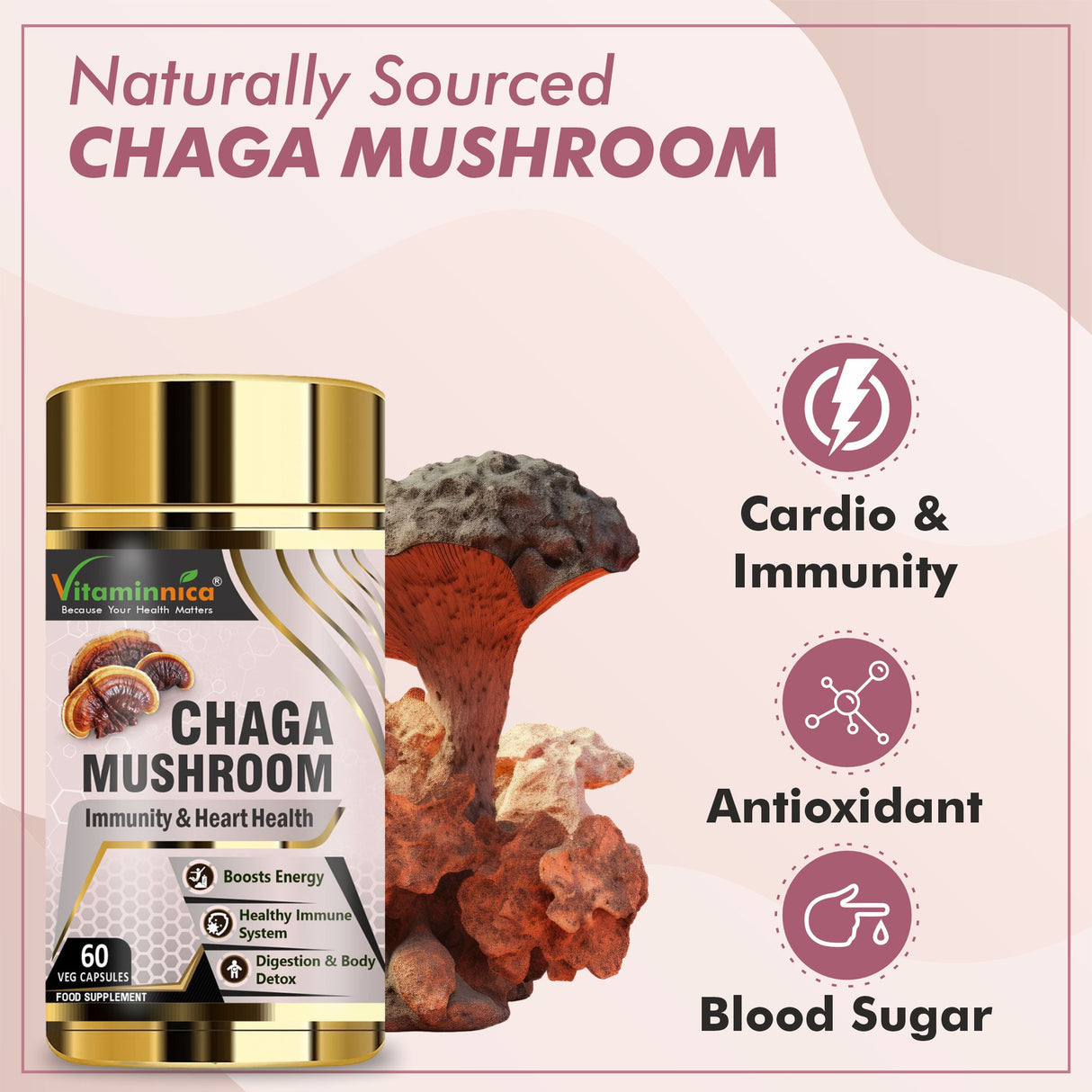 Vitaminnica Chaga Mushroom- 60 Capsules