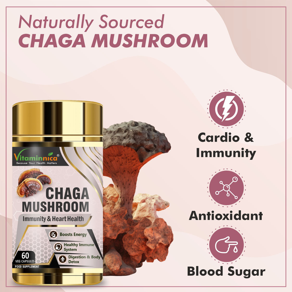 Champignon Chaga Vitaminnica - 60 gélules