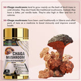 Champignon Chaga Vitaminnica - 60 gélules