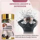 Champignon Chaga Vitaminnica - 60 gélules