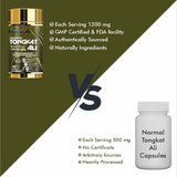 Vitaminnica Tongkat Ali- 60 Capsules | Premium Extract for Energy, Stamina, Testosterone Support & Vitality