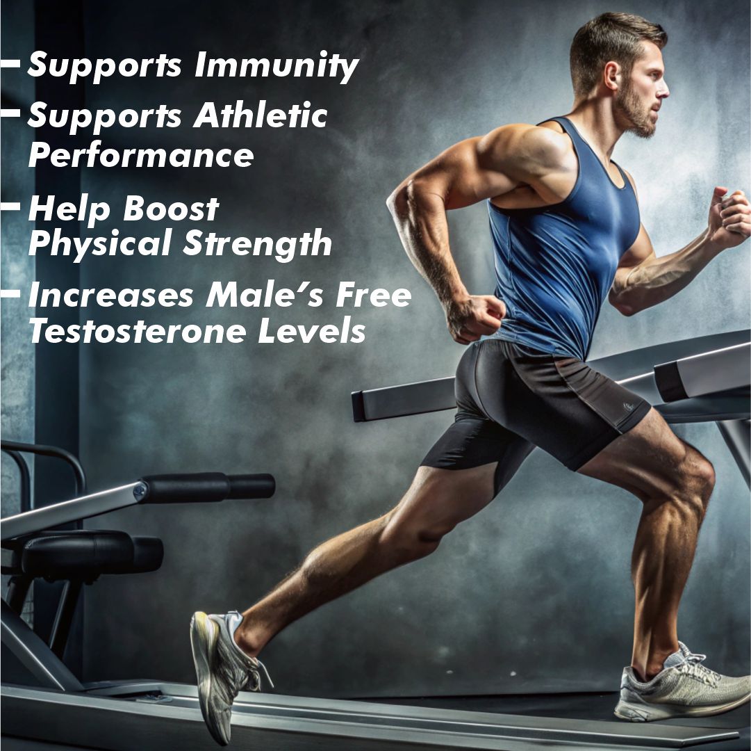 Vitaminnica Tongkat Ali- 60 Capsules | Premium Extract for Energy, Stamina, Testosterone Support & Vitality